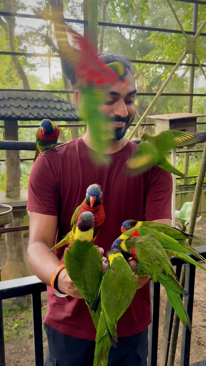 Hanging out with my colorful crew at the KL Bird Park ๐ฆโจ Th...